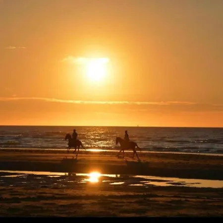 Seaview W Parking Apartman