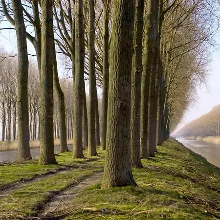 Apartamento Seaview W Parking