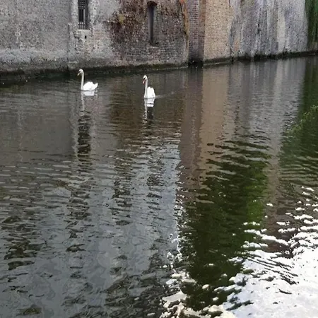 Seaview W Parking Apartman *